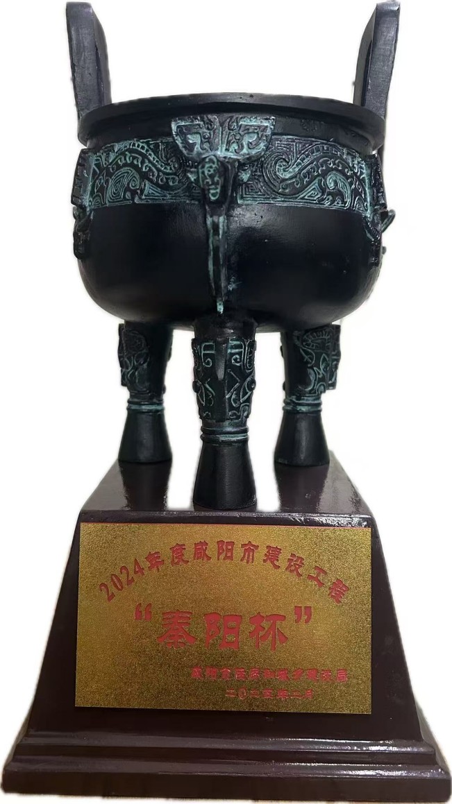 秦阳杯